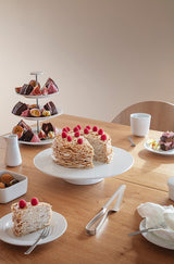 Eva Solo Stainless Steel Cake Server