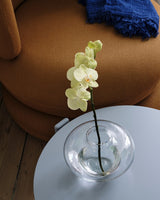 Kosta Boda Kappa Glass Vase Small Clear