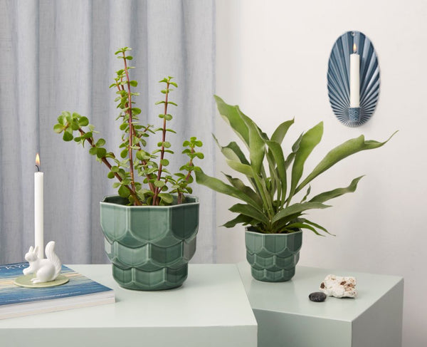 Dottir Samsurium Ceramic Flowerpot Medium Spruce