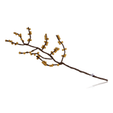 Gry & Sif Felt Branch With Yellow Berries