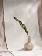 Decorative felt foxglove flower sprig white with green leaves in white vase