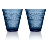 Iittala Kastehelmi Tumbler 30cl Set of 2 Rain