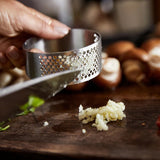 Zone Denmark Singles Garlic Press Matte Steel