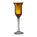 Lyngby Glas Set of 6 Multicoloured Shot Glasses