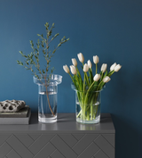 Kosta Boda Limelight Tulip Vase Clear