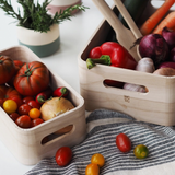 Rig Tig Save-It 5 Piece Storage Box