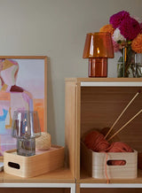 Rig Tig Save-It 5 Piece Storage Box