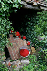 Fiona Walker Standing Mistletoe Robin Large