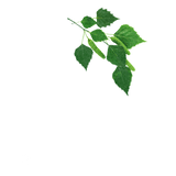 Hetkinen Sauna Scent Drops Metsä