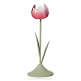 Broste Tulip Candle Holder Pink & Sage Large