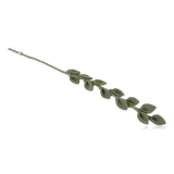 Gry & Sif Felt Eucalyptus Branch