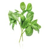 Hetkinen Sauna Scent Drops Herbal