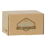 Maileg Mouse Car Mint
