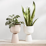 Iittala Nappula Ceramic Plant Pot Medium White