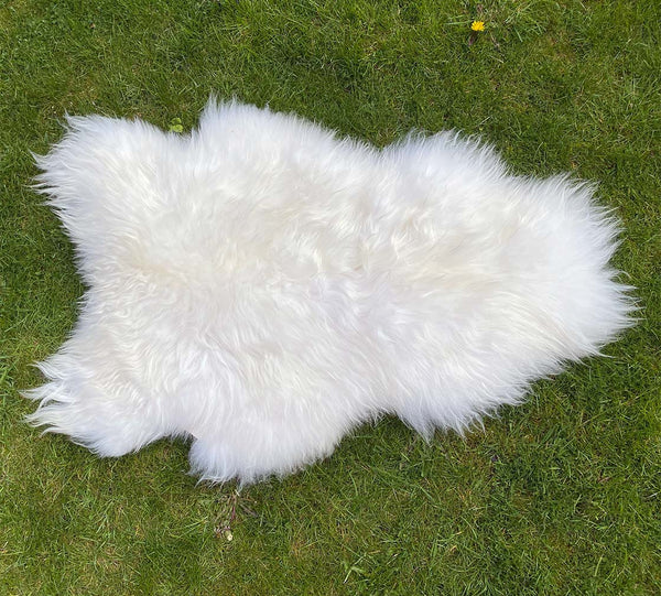 Icelandic Sheepskin Rug White