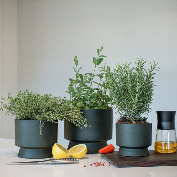 Rosendahl Recycled Plant Pot 19cm Green – The Scandinavian Shop
