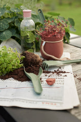 Rig Tig Grow-It Herb Pot Terracotta